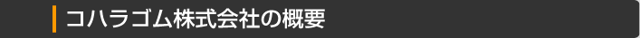 RnSฬ๏ะTv